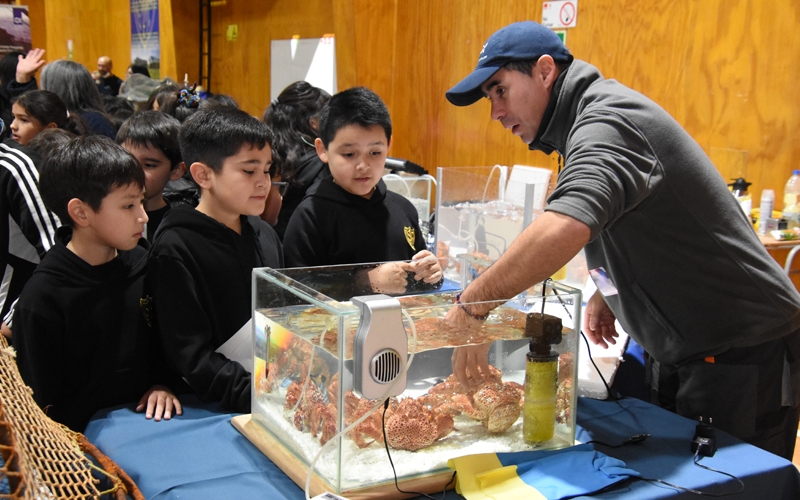 Estudiantes se sumergen en el mundo marino con Feria Científica del IFOP