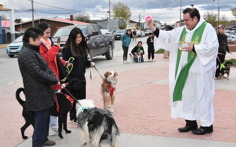Mascotas recibieron la bendición en la Fiesta de San Francisco De Asís